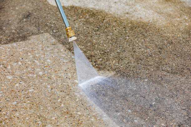 Professional Pressure washing in Lone Tree, IA